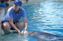 Kids_SeaWorldSA-2013 (79)